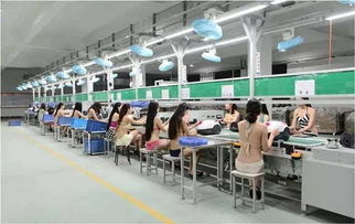 以“超級性感工廠”破局 一探商務(wù)信息咨詢的顛覆性策略